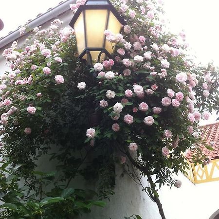 Patio Das Flores 费雷拉杜阿连特茹 外观 照片
