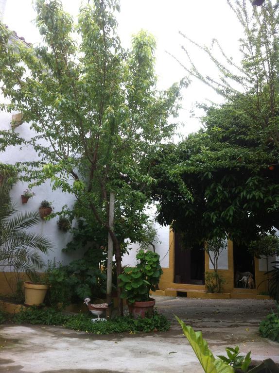 Patio Das Flores 费雷拉杜阿连特茹 外观 照片