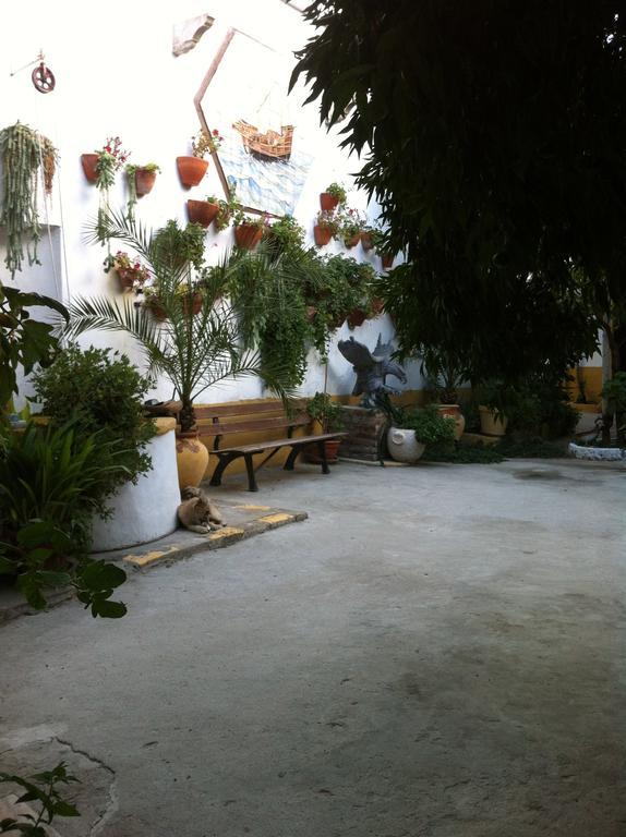 Patio Das Flores 费雷拉杜阿连特茹 外观 照片