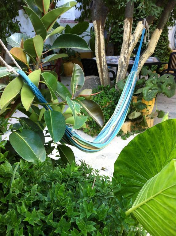 Patio Das Flores 费雷拉杜阿连特茹 外观 照片
