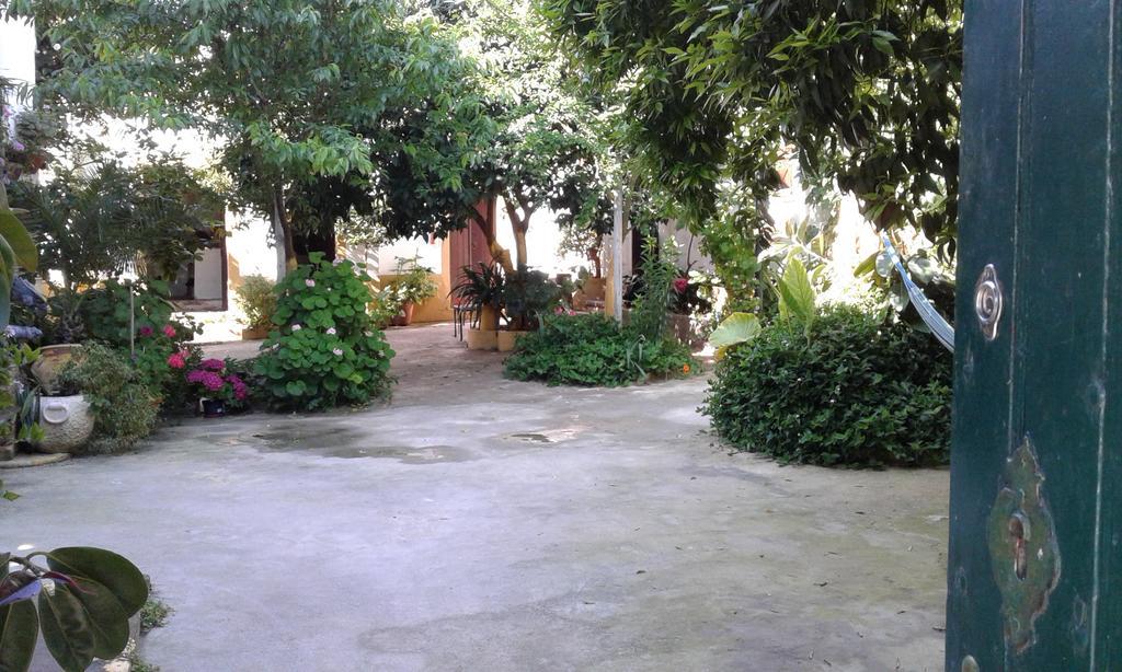 Patio Das Flores 费雷拉杜阿连特茹 外观 照片