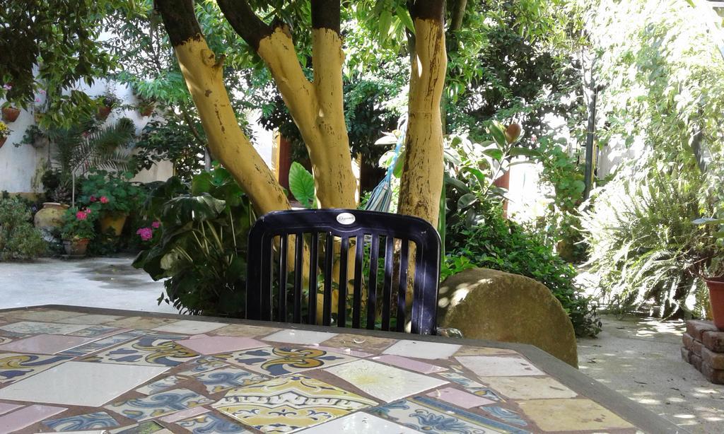 Patio Das Flores 费雷拉杜阿连特茹 外观 照片