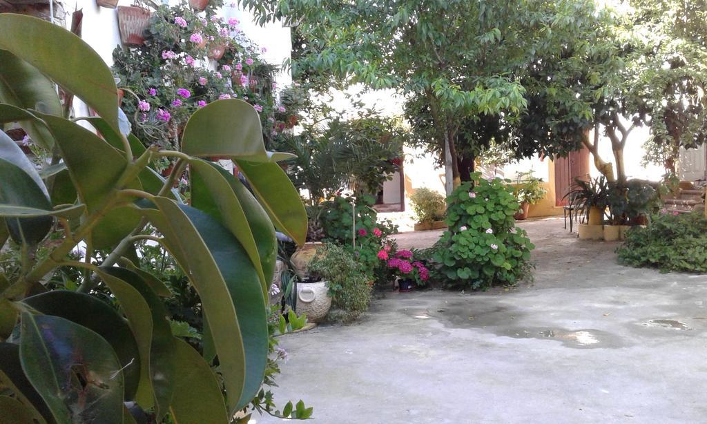 Patio Das Flores 费雷拉杜阿连特茹 外观 照片
