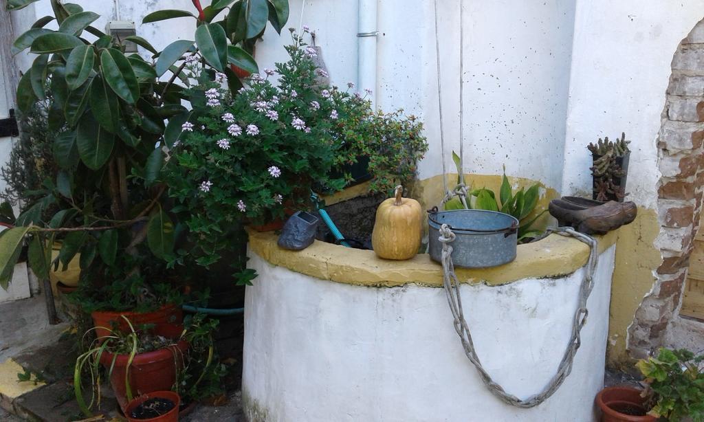 Patio Das Flores 费雷拉杜阿连特茹 外观 照片